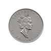 Image 2 : Pure Platinum Maple Coin 1oz