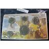 Image 2 : 1015. 1981 Canada Mint Set in original envelope of issue.