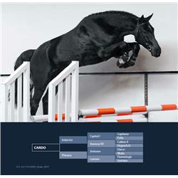 CARDO - Indoctro x Jimtown x Flemmingh