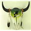 Image 1 : Hand painted buffalo skull