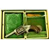 Image 1 : Defender 32 cal. NVSN 5 shot spur trigger revolver