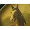 Image 2 : C. 1900 hand colored portrait of horses and dog