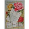 Image 2 : 1904 Seed Catalog & Order Forms