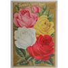 Image 3 : 1904 Seed Catalog & Order Forms