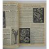 Image 4 : 1904 Seed Catalog & Order Forms