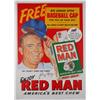 Image 1 : Baseball Window Sign