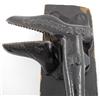 Image 2 : Mystery Item