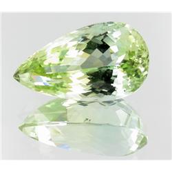 53ct Flawless Deep Patroke Green Kunzite  (GEM-23629)