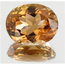 11.7ct Imperial Orange Topaz Appr Est $17k (GEM-27452)