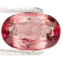 3.50ct Nice Rubellite Tourmaline Brazil   (GEM-28627)