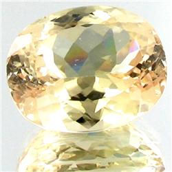 98.58ct Yellow Green Kunzite Appraised $28k (GEM-24634)