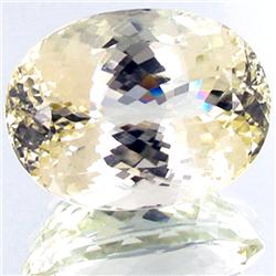 133.57ct Golden Kunzite Appraised $43k (GEM-24628)