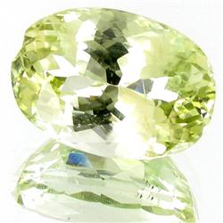 49.73ct Champ. Green Kunzite Appraised $27k (GEM-26317)
