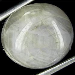 8.77ct 6 Rays Play Star Mogok Sapphire Unheated (GEM-27149)