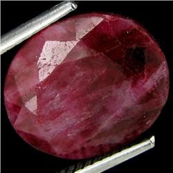 7.50ct Oval Red Ruby Afghan (GEM-26899)