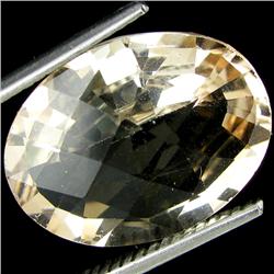 9.05ct Stunning Hot Imperial Topaz (GEM-26305)