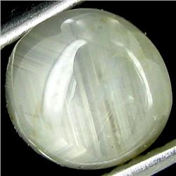 1.83ct 6 Rays Blue Star Sapphire (GEM-26840)