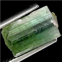 4.3ct Green Tourmaline Crystal Terminated (GEM-24354)