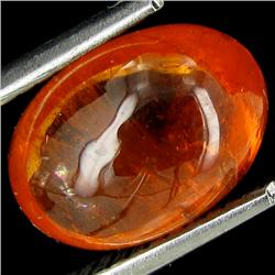 4.29ct Oval Cabochon Orange Garnet Natural  (GEM-23243)