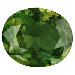 2.66ct Natural Green Tourmaline  (GEM-28458)
