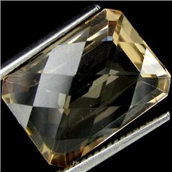 11.63ct Champagne Topaz Octagon (GEM-19319)