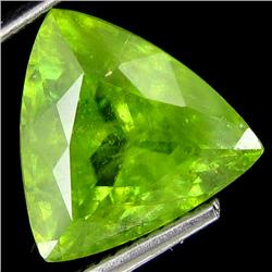 4.81ct Hot Lustrous Multi Color Sphene (GEM-19710)