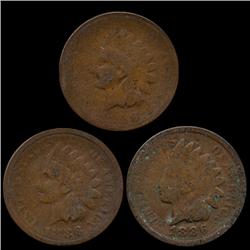1881 Indian Cent Lot of 10 Circulated (COI-7493)