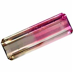 2.38ct Natural Bi Color Tourmaline  (GEM-21015)