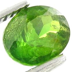 1.75ct Demantoid Garnet Appraised $13k (GEM-26695)