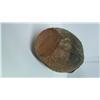 Image 5 : Southern Neolithic POT