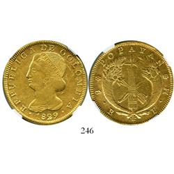 Popayan, Colombia, 8 escudos, 1829FM, encapsulated NGC XF details, obverse scratched.