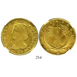 Popayan, Colombia, 8 escudos, 1835UR, encapsulated NGC XF details, surface hairlines.