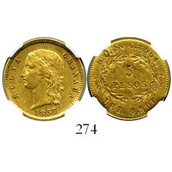 Bogota, Colombia, 5 pesos, 1857-B, encapsulated NGC XF details, reverse planchet flaw.
