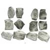 Image 1 : Lot of 6 Mexico City, Mexico, cob 8 reales, Philip V, assayers not visible.