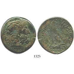 PTOLEMAIC KINGS of EGYPT, bronze AE 38 mm, probably Ptolemy III, Euergetes, 246-221 BC.