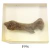Image 1 : Miniature clay "tonalaware" figurine: small dog (in Lucite).