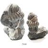 Image 1 : Trilobite in matrix (large), 250 to 500 million years old.