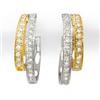 Image 1 : Natural 0.65 ctw Diamond Earrings 10K Multi tone