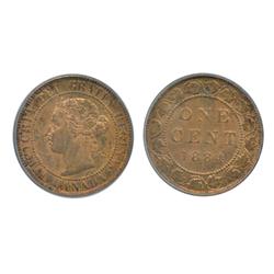 1884. Obverse port. #2.  PCGS graded Mint State-62. Red-Brown.  40% luster.