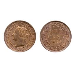 1899.  ICCS Mint State-63. Red.  50% remaining red luster.