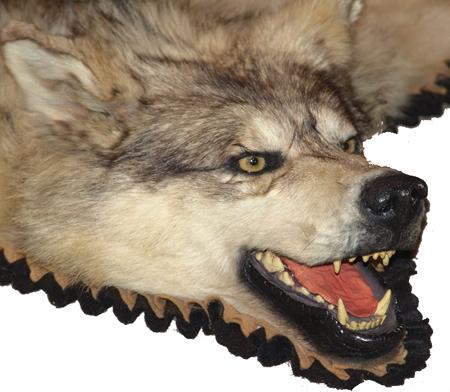 Wolf Hide Rug
