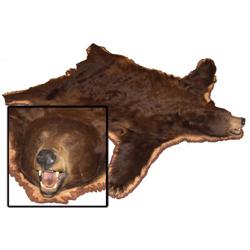 Brown Bearskin Rug