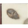 Image 2 : Arrowhead/Relic Collection