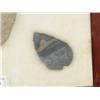 Image 5 : Arrowhead/Relic Collection