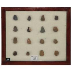Arrowhead/Relic Collection