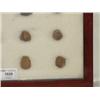 Image 4 : Arrowhead/Relic Collection