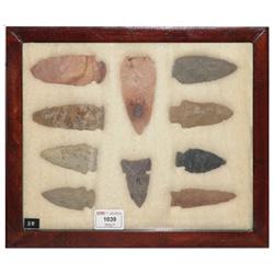 Arrowhead/Relic Collection