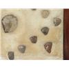 Image 4 : Arrowhead/Relic Collection