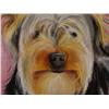 Image 2 : Duerrstein Orig Dog Painting Yorkie Yorkshire Terrier