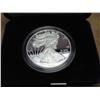 Image 1 : 2008-W AMERICAN SILVER EAGLE PROOF